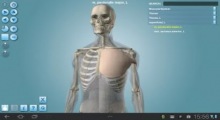 Anatomy 3D