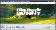 VLC Media Player Portable