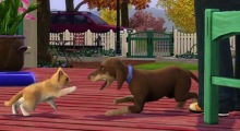 Les Sims 3 - Animaux & Cie