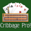 Cribbage Pro