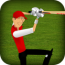 Stick Cricket