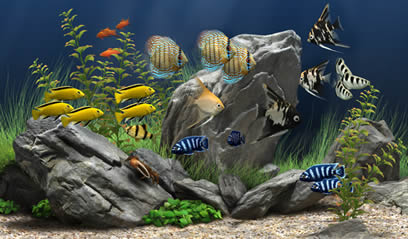 Aquarium Animated Wallpaper Telecharger