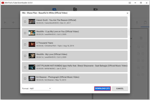Como Assistir Vídeos Privados do  - Solução - MiniTool uTube  Downloader