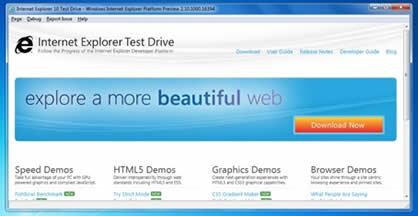 IE 10