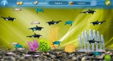 Tap Fish