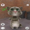 Talking Tom Cat