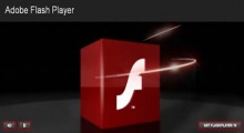 Flash Player