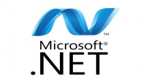 .NET 5.0 (64-bit)