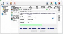Neat Download Manager