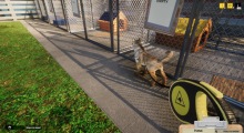 Animal Shelter Simulator
