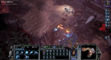 Stormgate