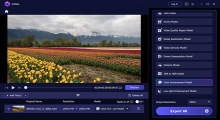 VidHex