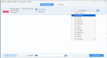 Cisdem PDF Converter OCR