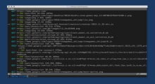 Mitmproxy