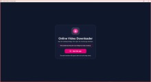 Online Video Downloader