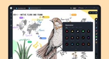 Drawboard PDF