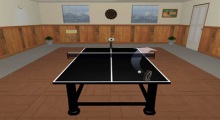 Table Tennis Pro