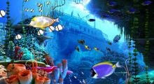 Coral Reef 3D