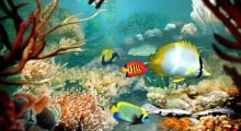 Tropical Fish 3D