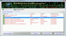 IE Password Decryptor