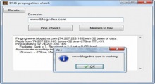 DNS Propagation Checker