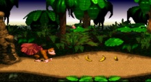 Donkey Kong Country