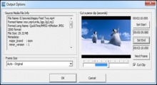 Freemore Video to GIF Converter