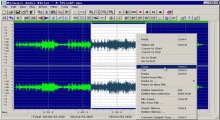 Naturpic Audio Editor