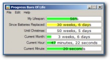 Progress Bars of Life