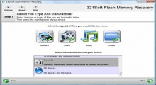 Flash Memory Recovery