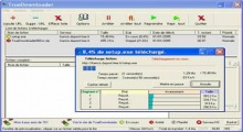 TrueDownloader