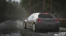 Sebastien Loeb Rally EVO 