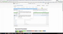 DynamicTranslator