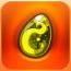 Dofus Pocket